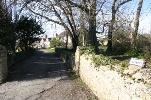 View from the drive